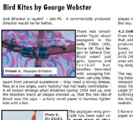 Kite Articles from The Kiteflier